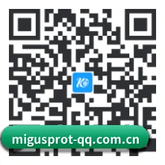 系统版 Android 二维码